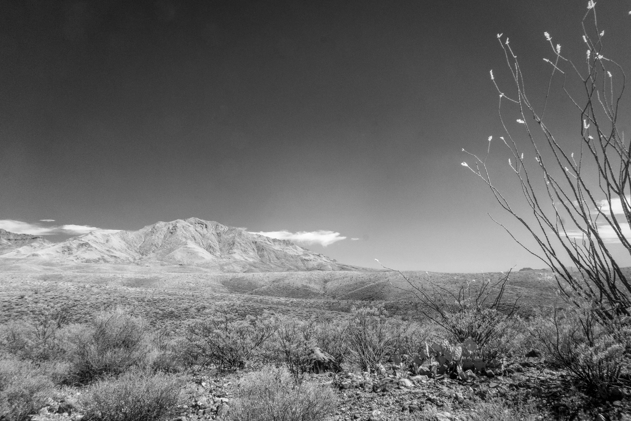 infra_red-2.jpg