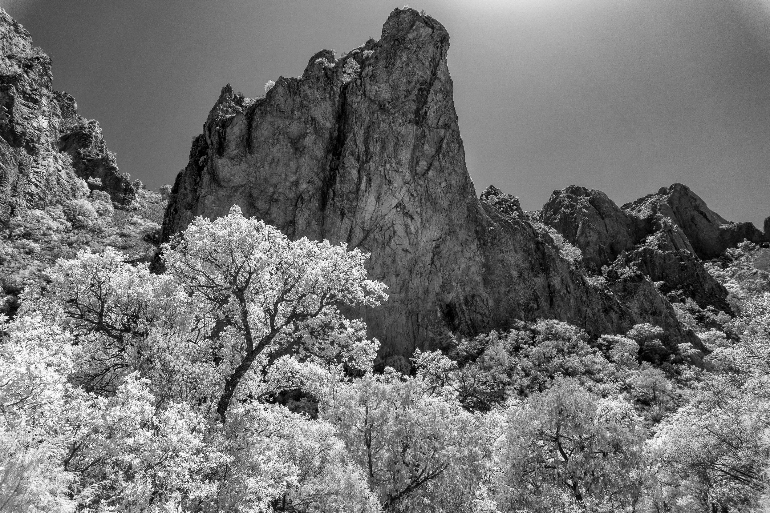 infra_red-7.jpg