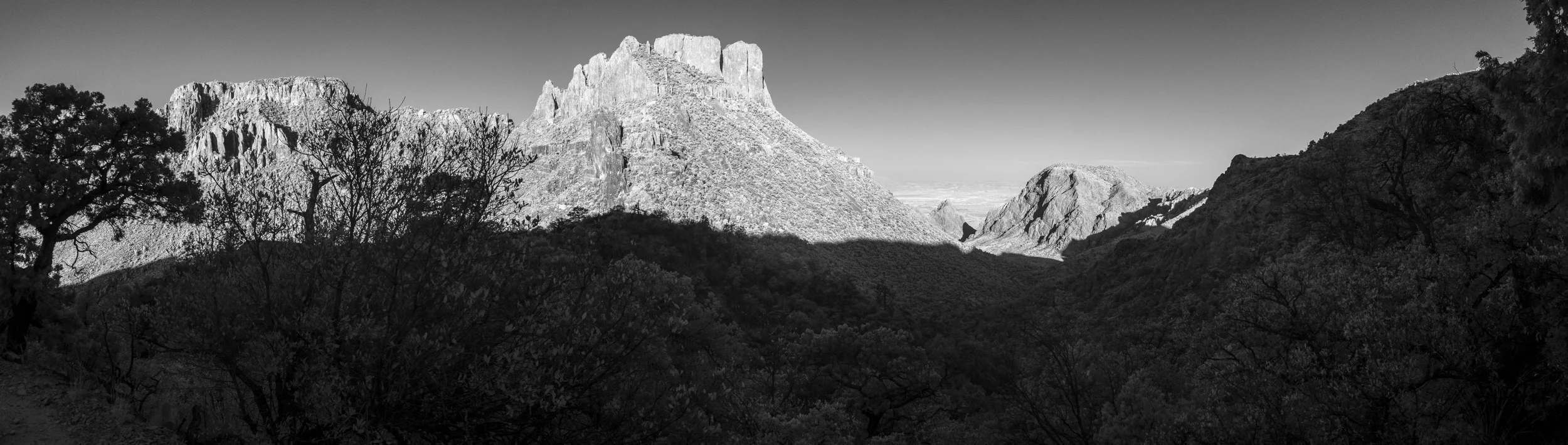 infra_red-9.jpg