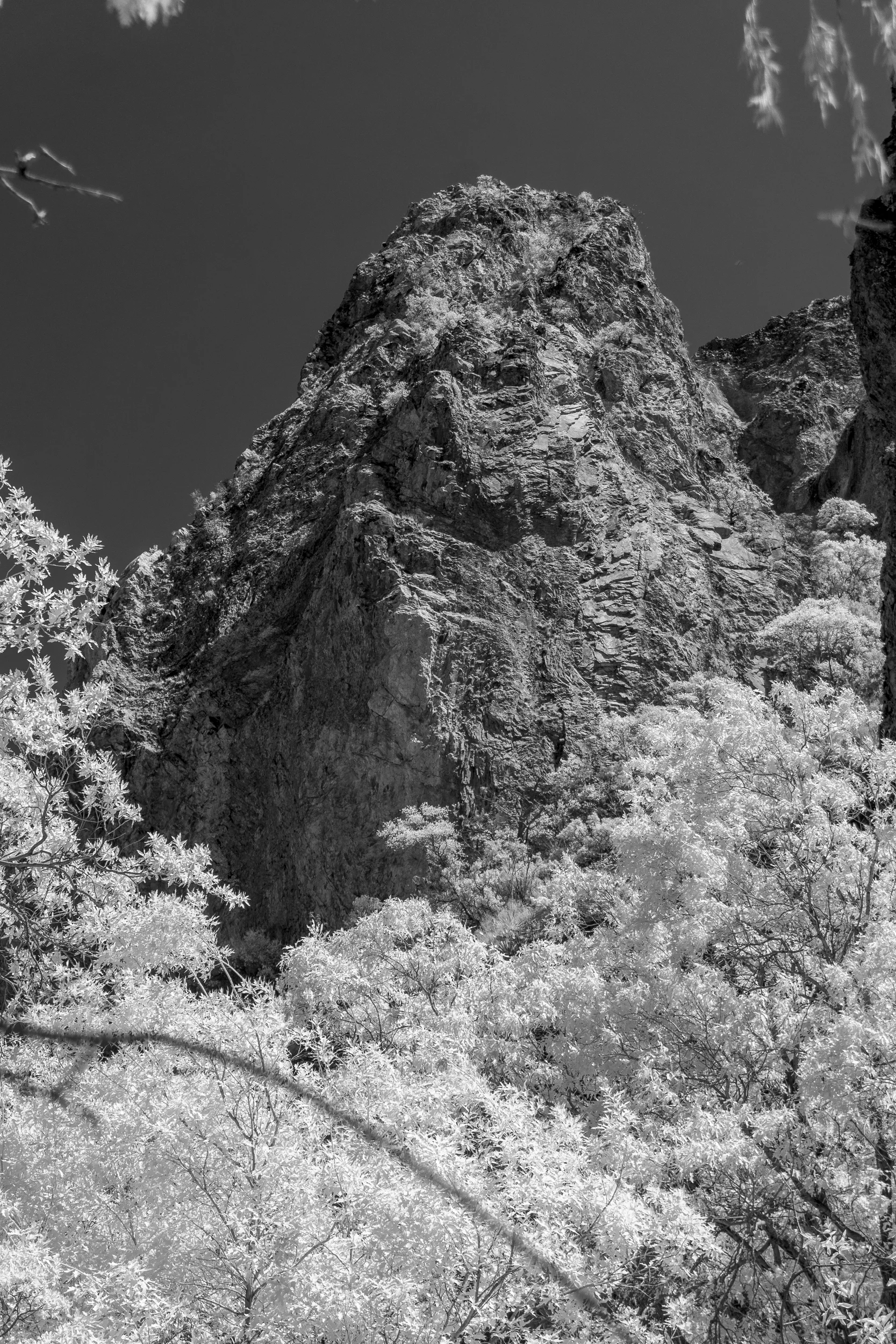 infra_red-26.jpg