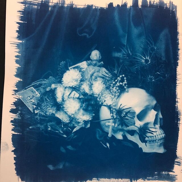 Playing with the cyanotype and pictorico today. Stay healthy.
#precisioncameraatx #solidaritycontest #pictorico #cyanotypeprint
