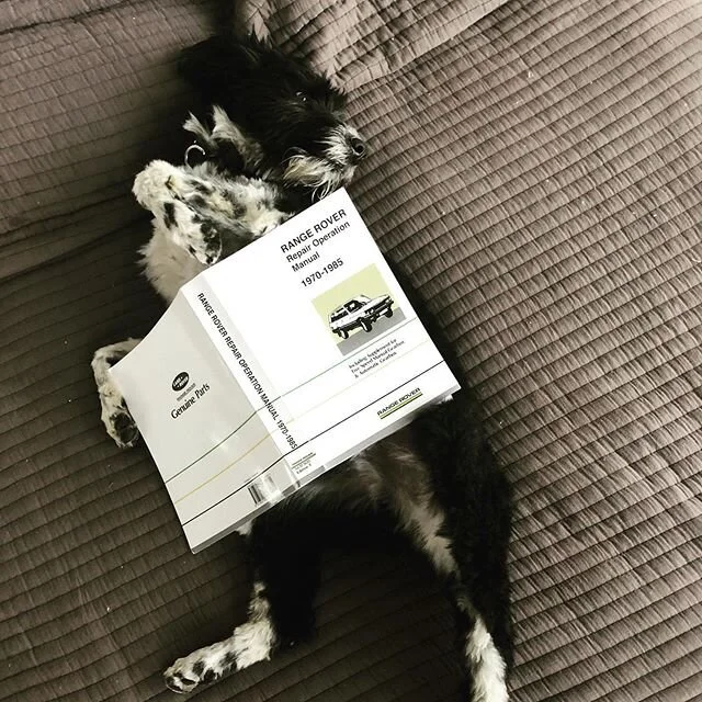 My new mechanic Henri. Now let's fix the AC

#rangeroverclassic2door