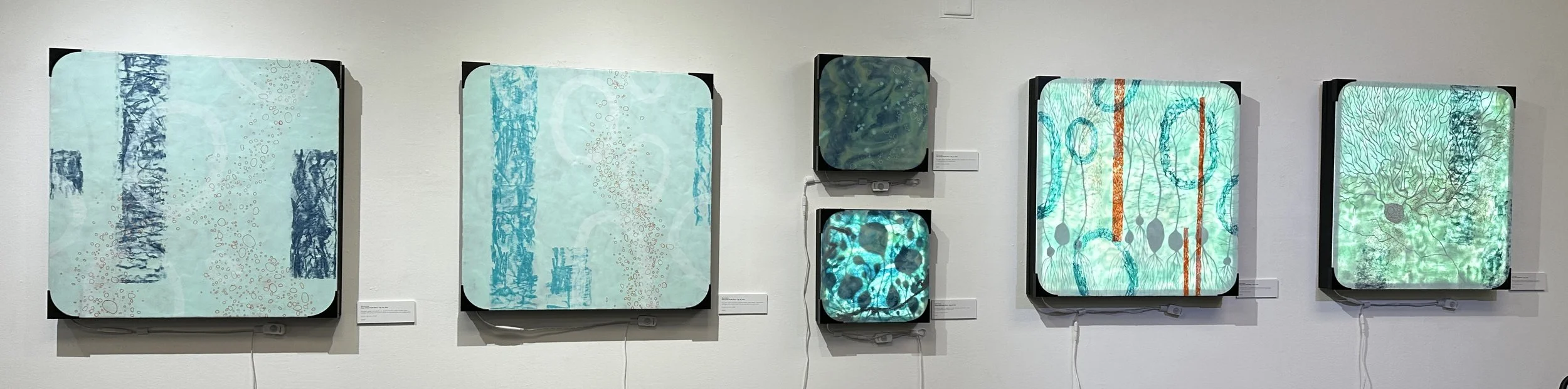 Dee Levang - Flora of the Fertile Mind - gallery wall.jpg