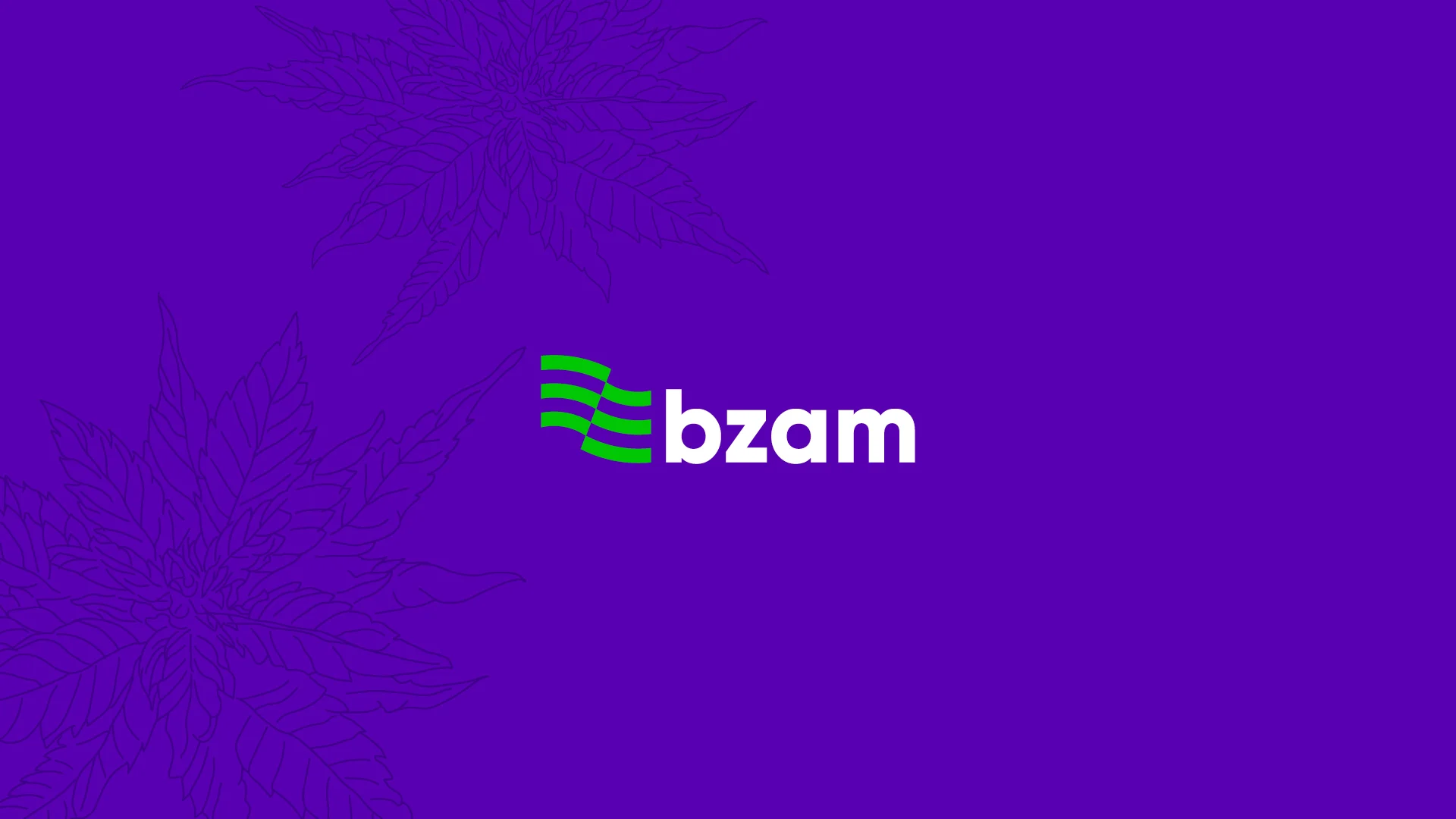 BZAM.jpg