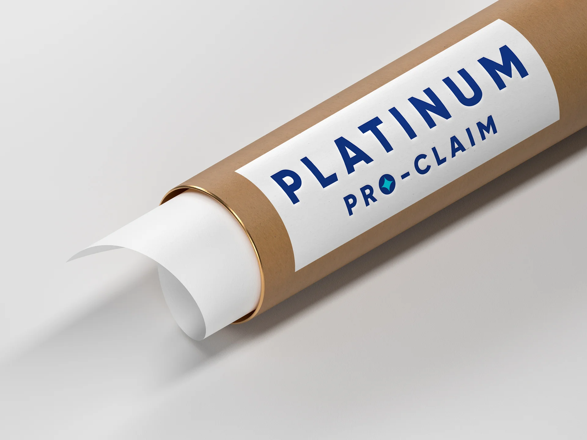 PPCR-paper-tube copy.jpg