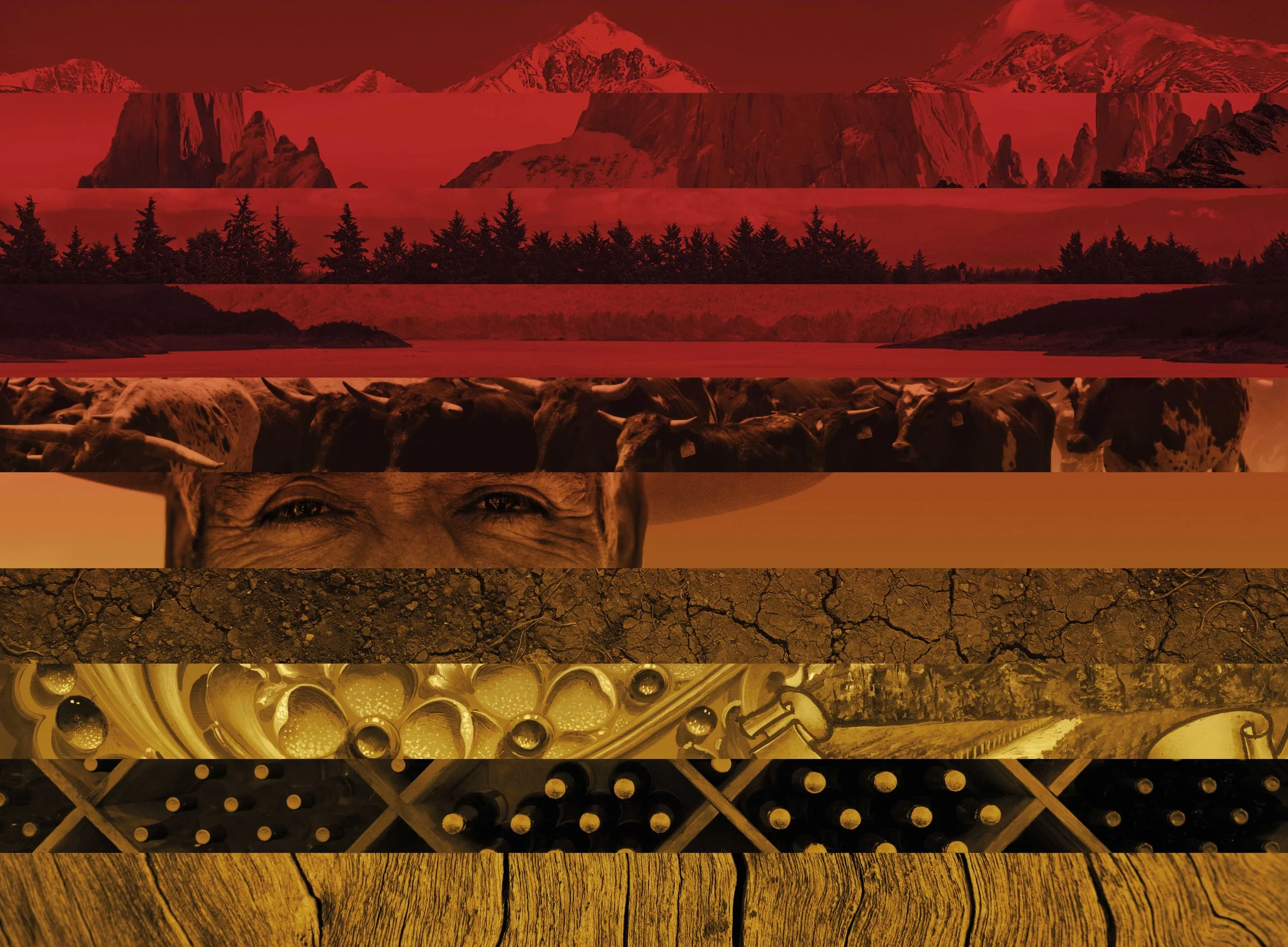 Graffigna_KeyVisual_10_Layer.jpg
