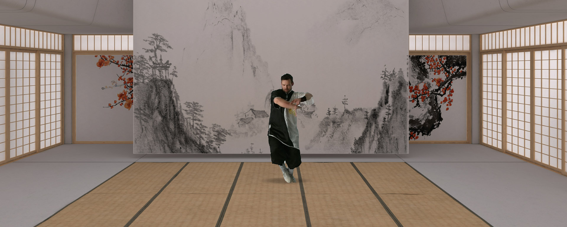 Wu-Shu experiments in virtual reality