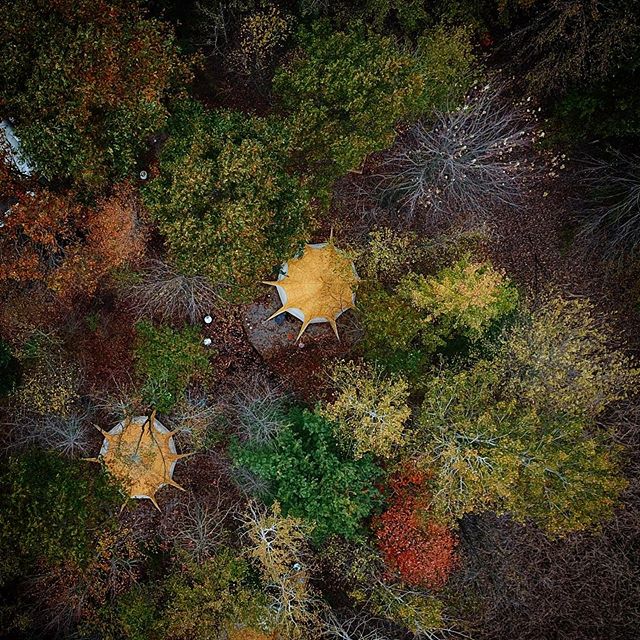 The beautiful patchwork of fall is coming into view at The Eco Camp. Are you ready for winter camping? We are!
•
•
•
•
•
#419 
#theecocamp
#yurt
#Toledo 
#camping 
#Outdoors 
#canvascamp 
#lotusbelle 
#toledoohio 
#glamping 
#camping 
#oakopenings 
#