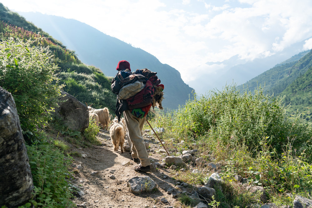 Its just you, goat herders, horses, yaks, and nomads on the trail.