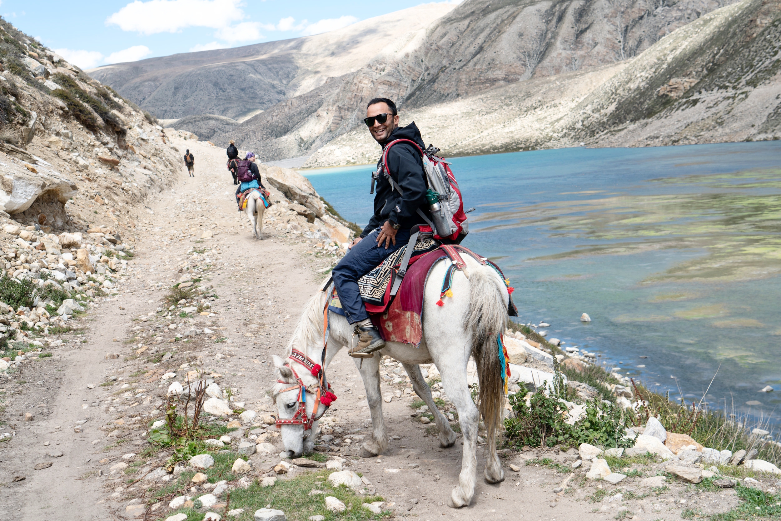 Small Tibetan ponies that have a mind of their own