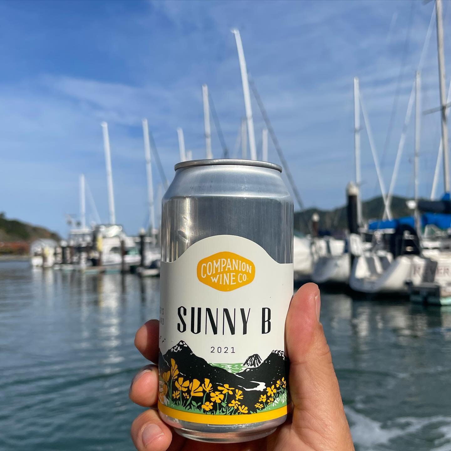 Safety first people. If you&rsquo;re gonna boat, bring cans and sunshine for an easy time. Sunny B guiding the way here. 

#cannedwine #boatcompanion #firstmate