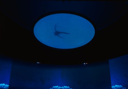 DOUG AITKEN NEW OCEAN ダグ・エイケン ニュー・オーシャン