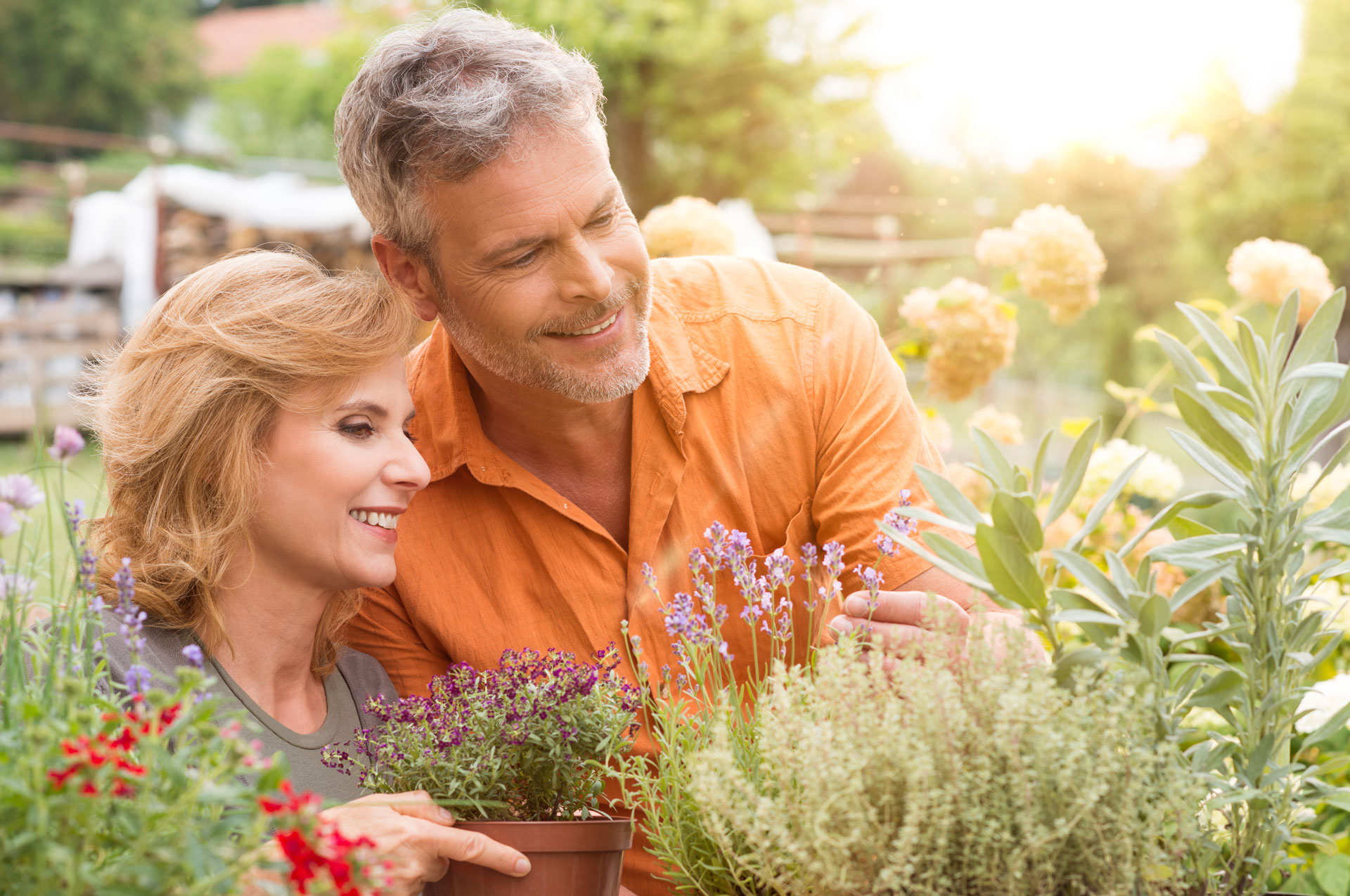 iStock_000045092302_XXXLarge-web.jpg