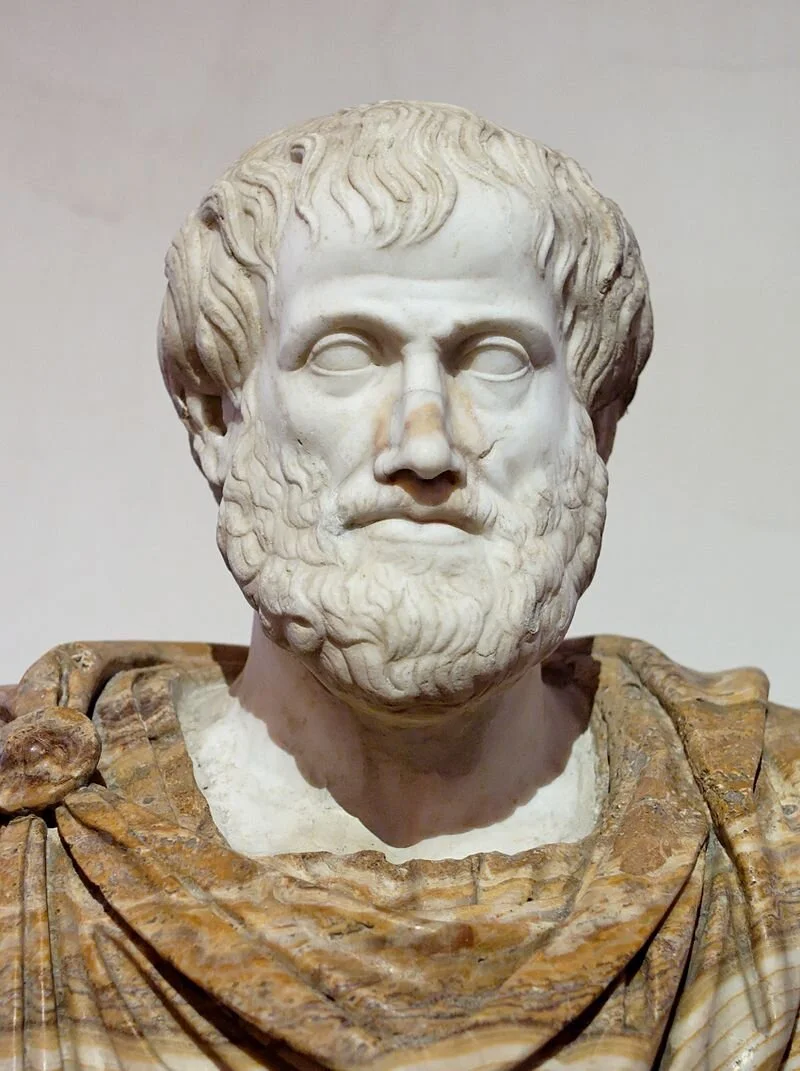 Image from Wikipedia. Busto de Aristóteles. Cópia romana de uma escultura de Lísipo