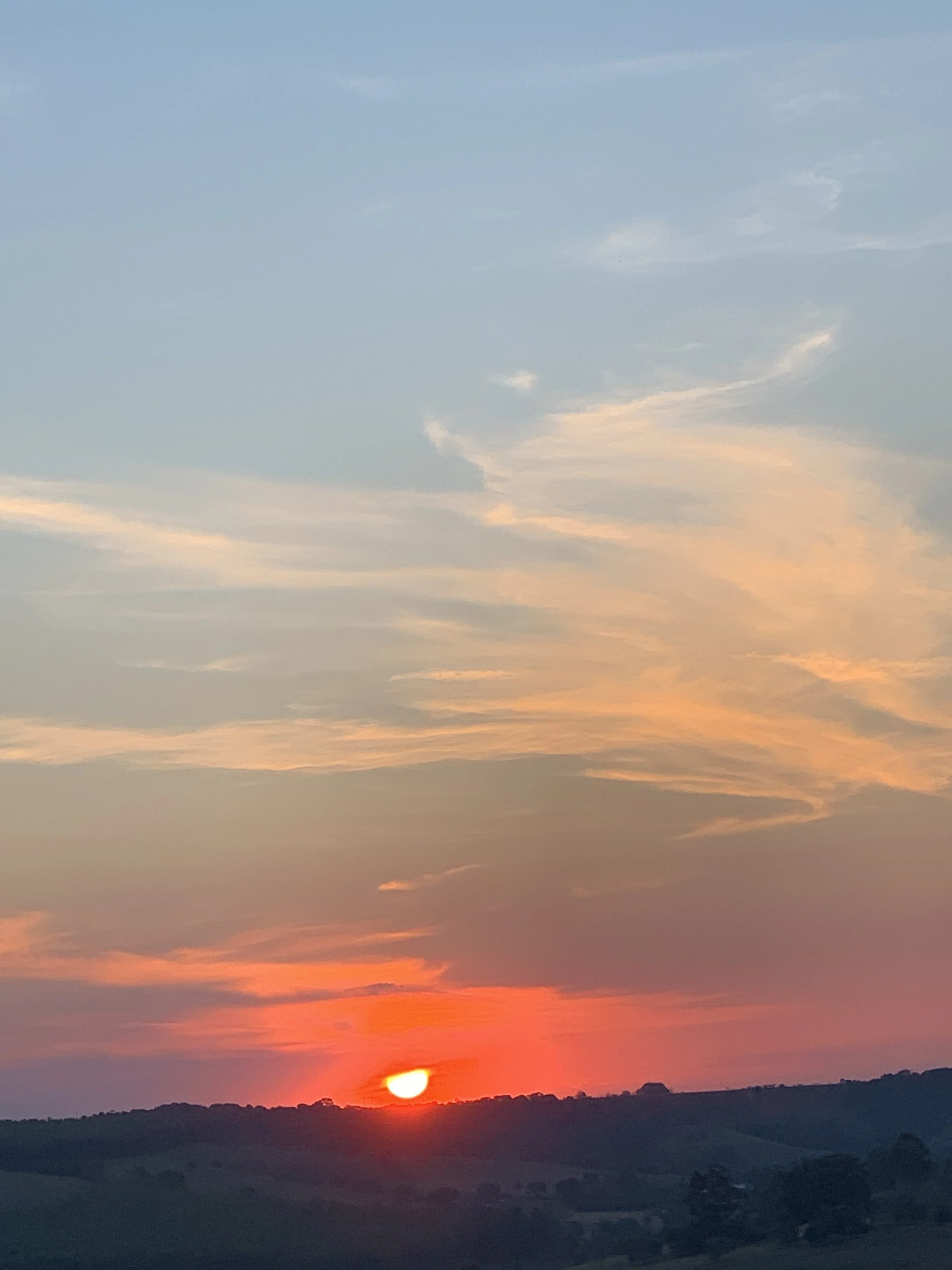 Retrospective 2019: The year that flew and crawled – at the same time