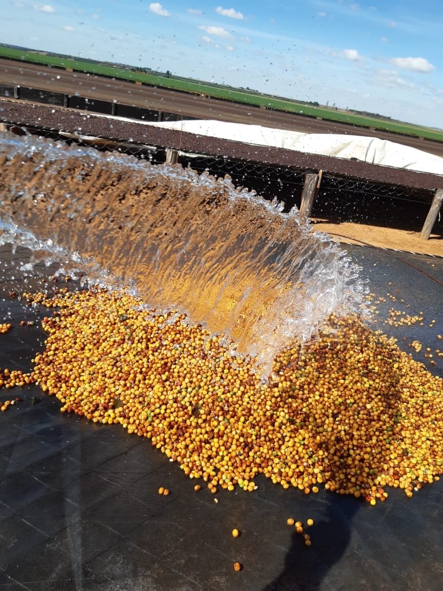 Coffee Cycles and Alchemy: the never ending journey