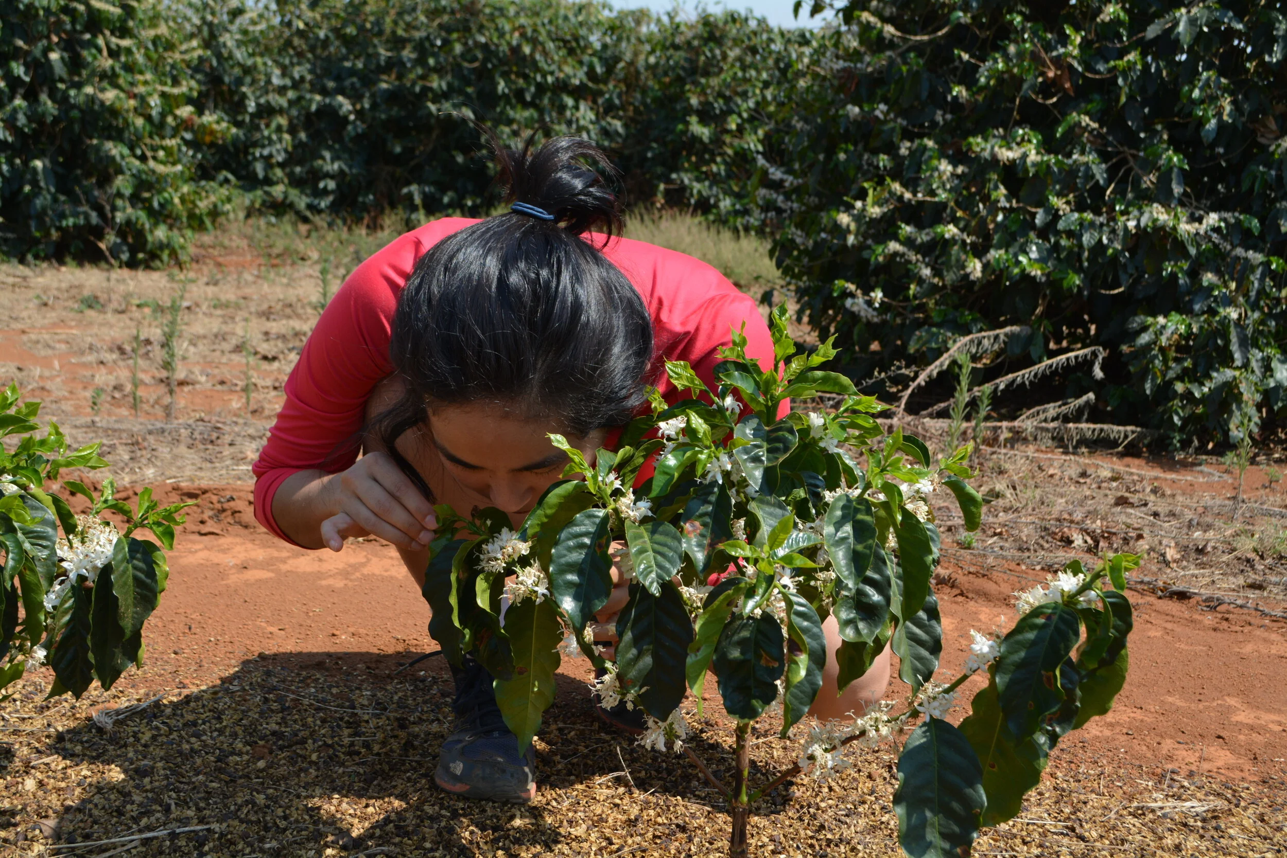 Especial não é por acaso