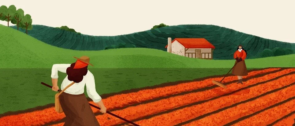 Por que há tão poucas mulheres ocupando cargos nos espaços de poder da cadeia de valor do café?