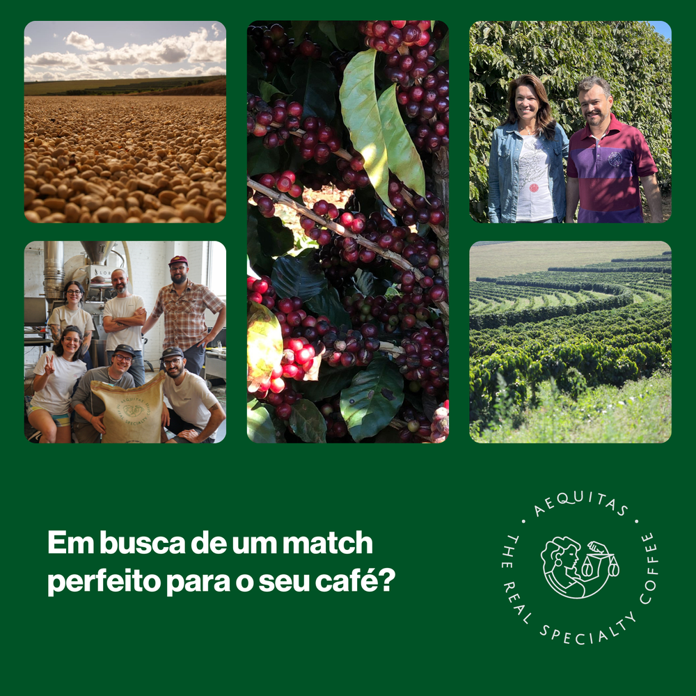 Sao_Luiz-01.pdf.png