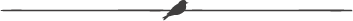 Asset 7.png