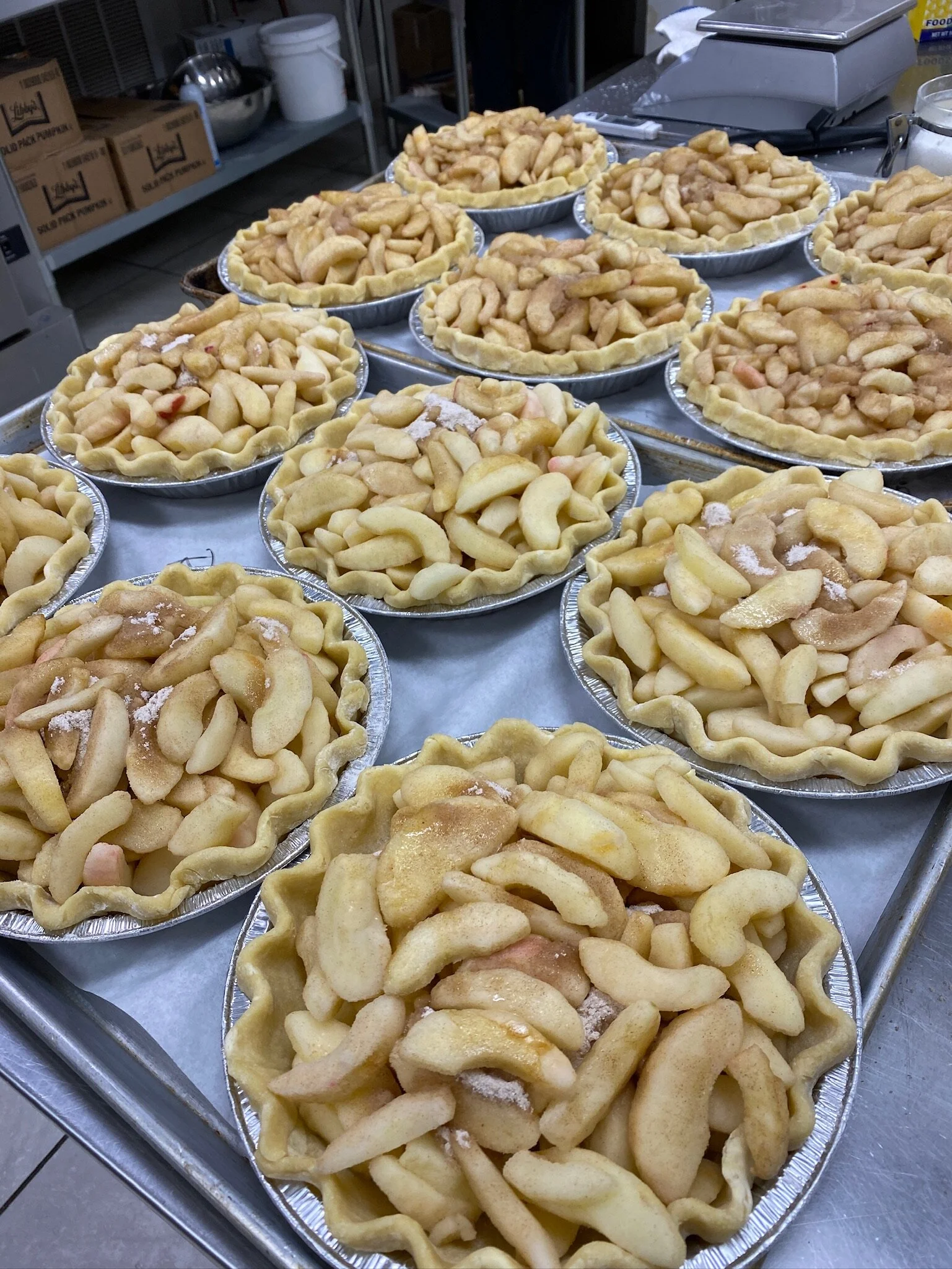 D2865BAB-616F-43E4-8767-6A80832356E1