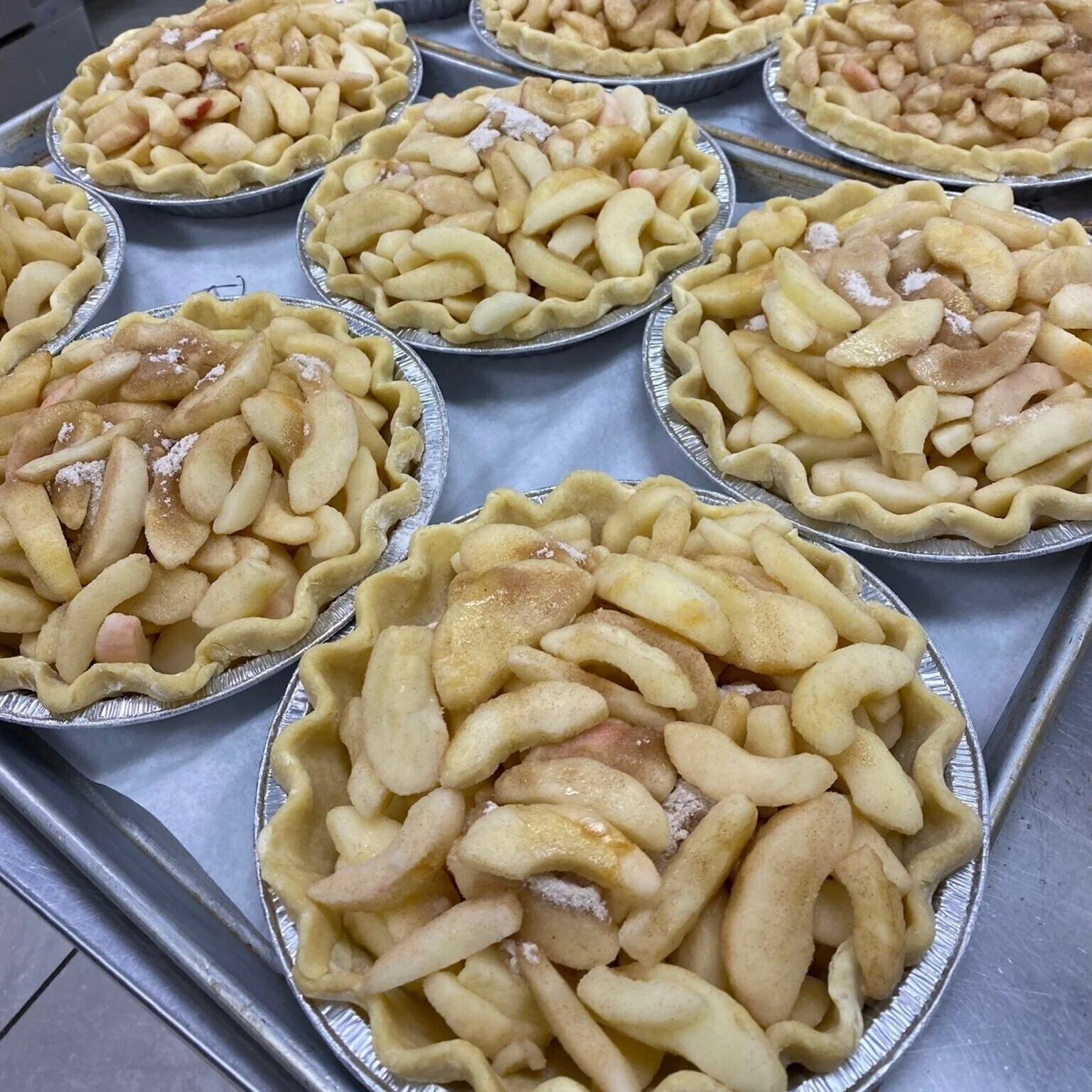 D2865BAB-616F-43E4-8767-6A80832356E1