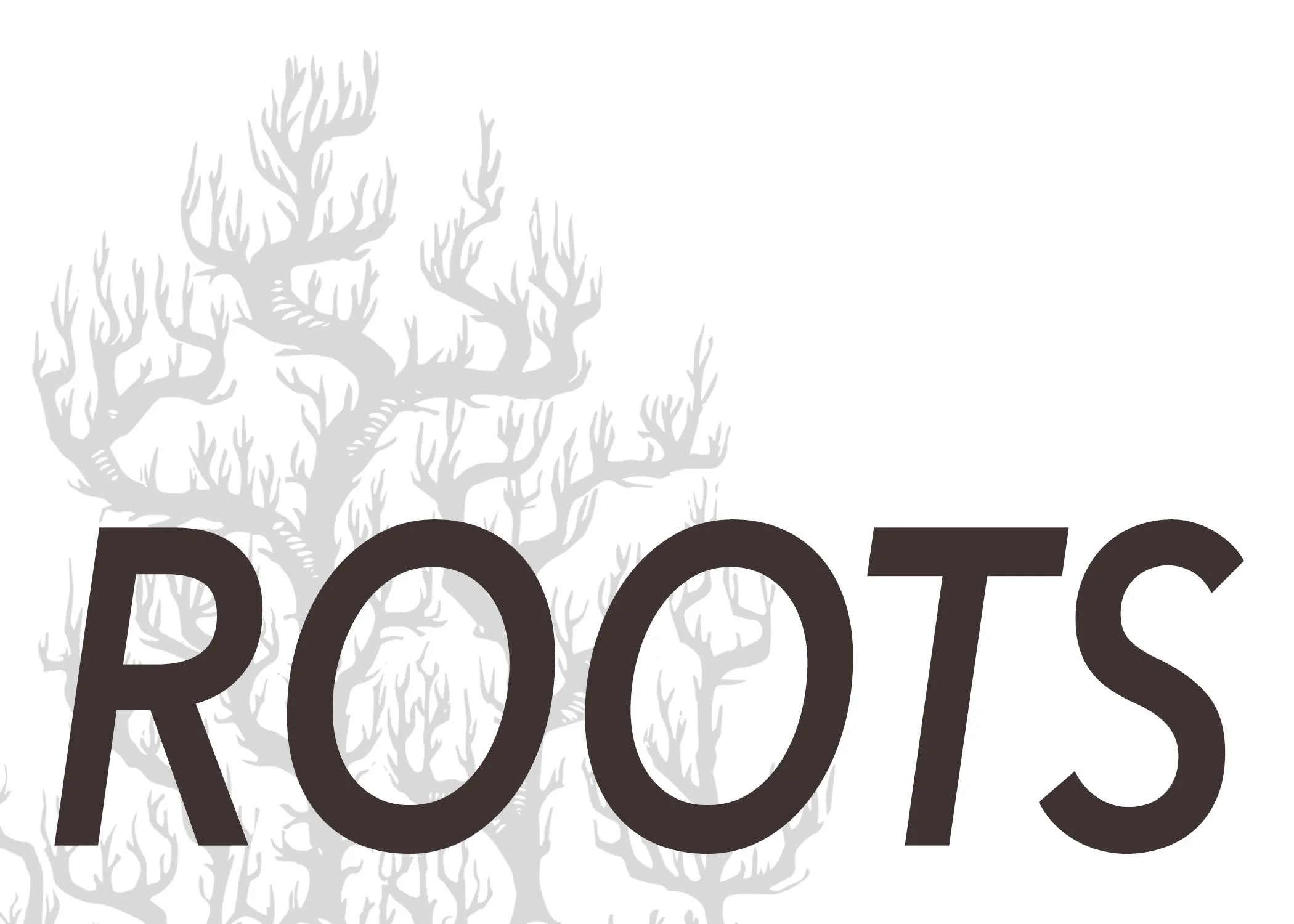 rootspostcardfront.jpg
