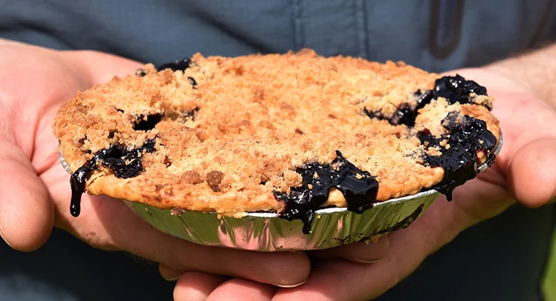 blueberry-pie-780.jpg