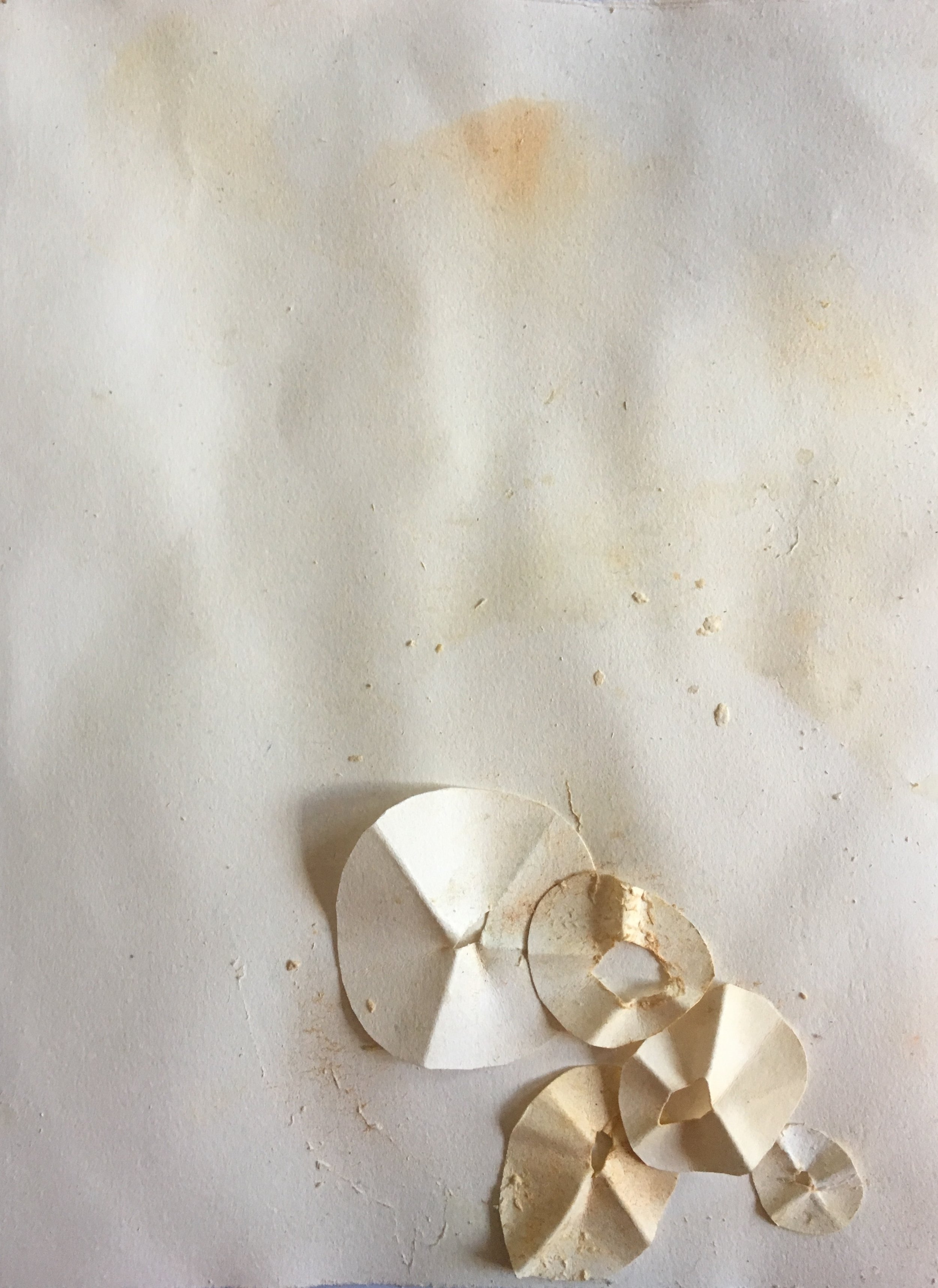 Politics Of The Collective