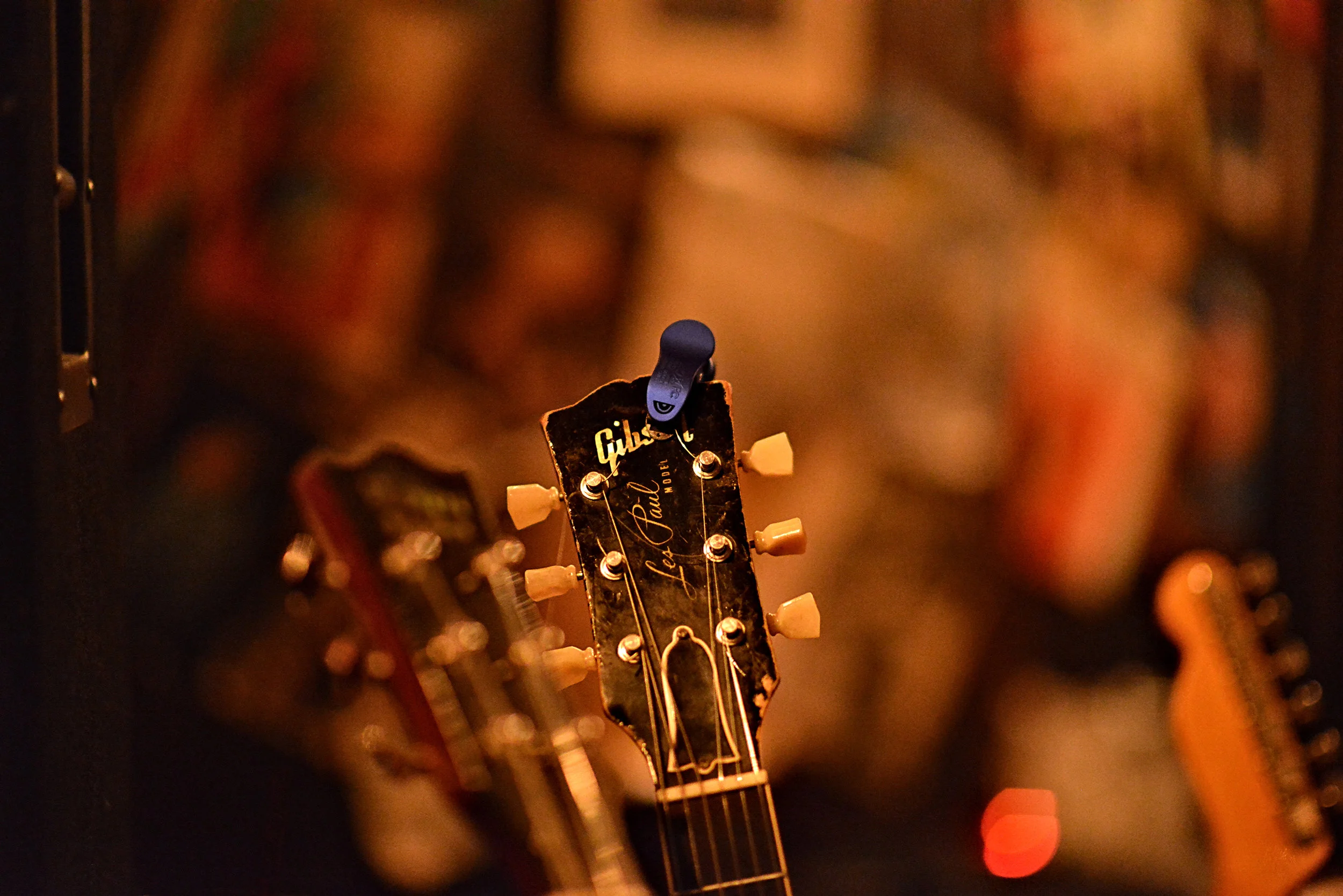 DSC_7838 resize.jpg