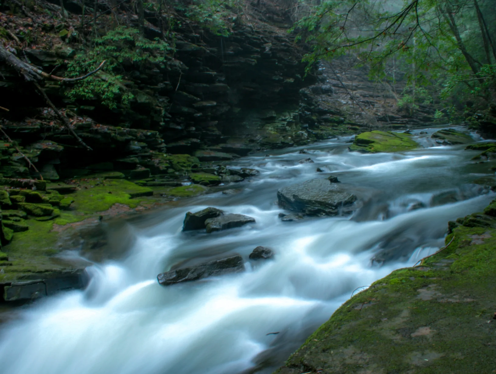  Mountain Creek 