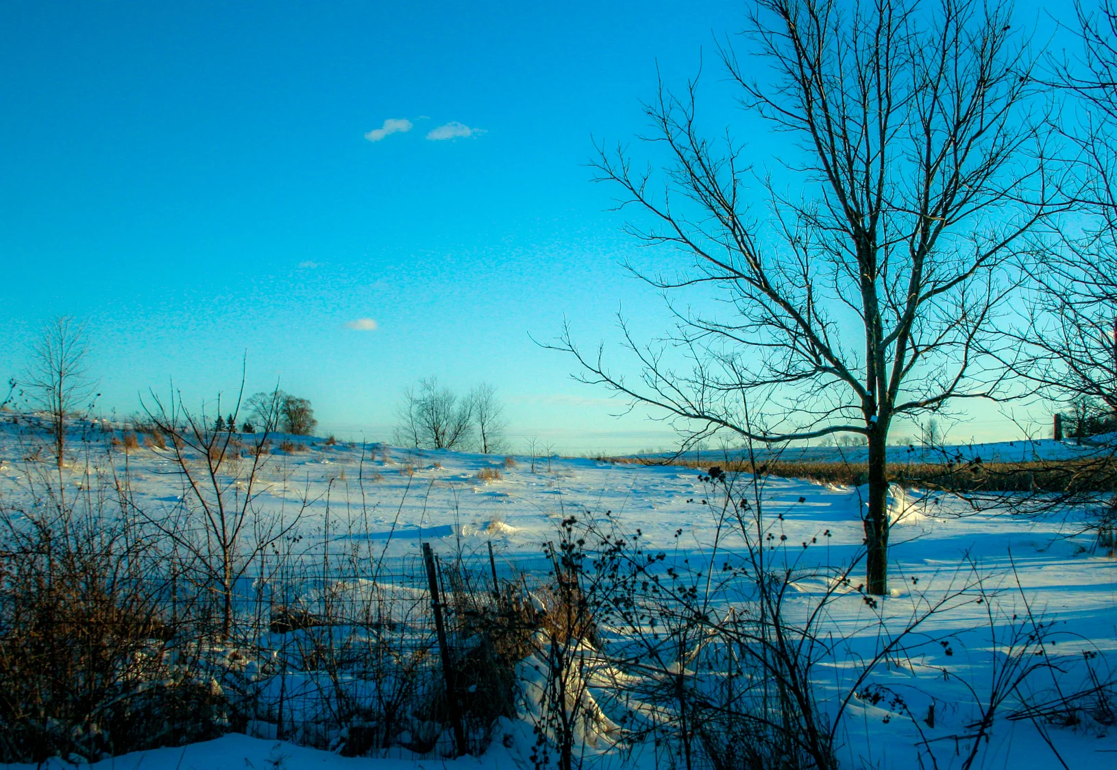  Sunlight on the Snow 