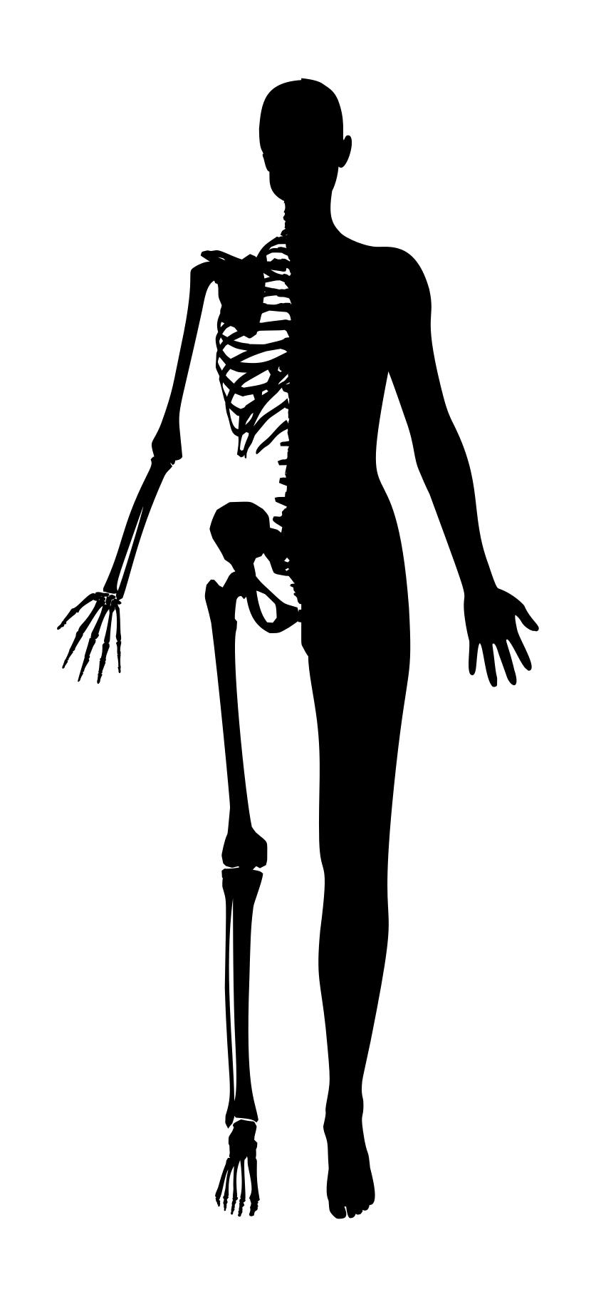 half-woman-half-skeleton-silhouette.jpg