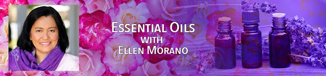 EssentialOilsBanner.jpg