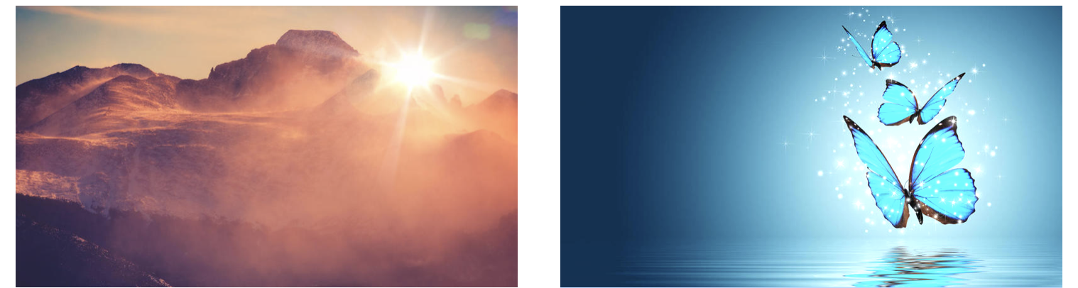 Screen Shot 2020-04-29 at 2.20.48 PM.png