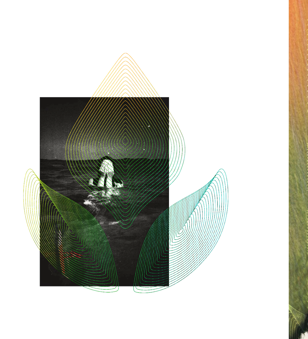 Screen Shot 2017-04-12 at 8.31.13 PM.png