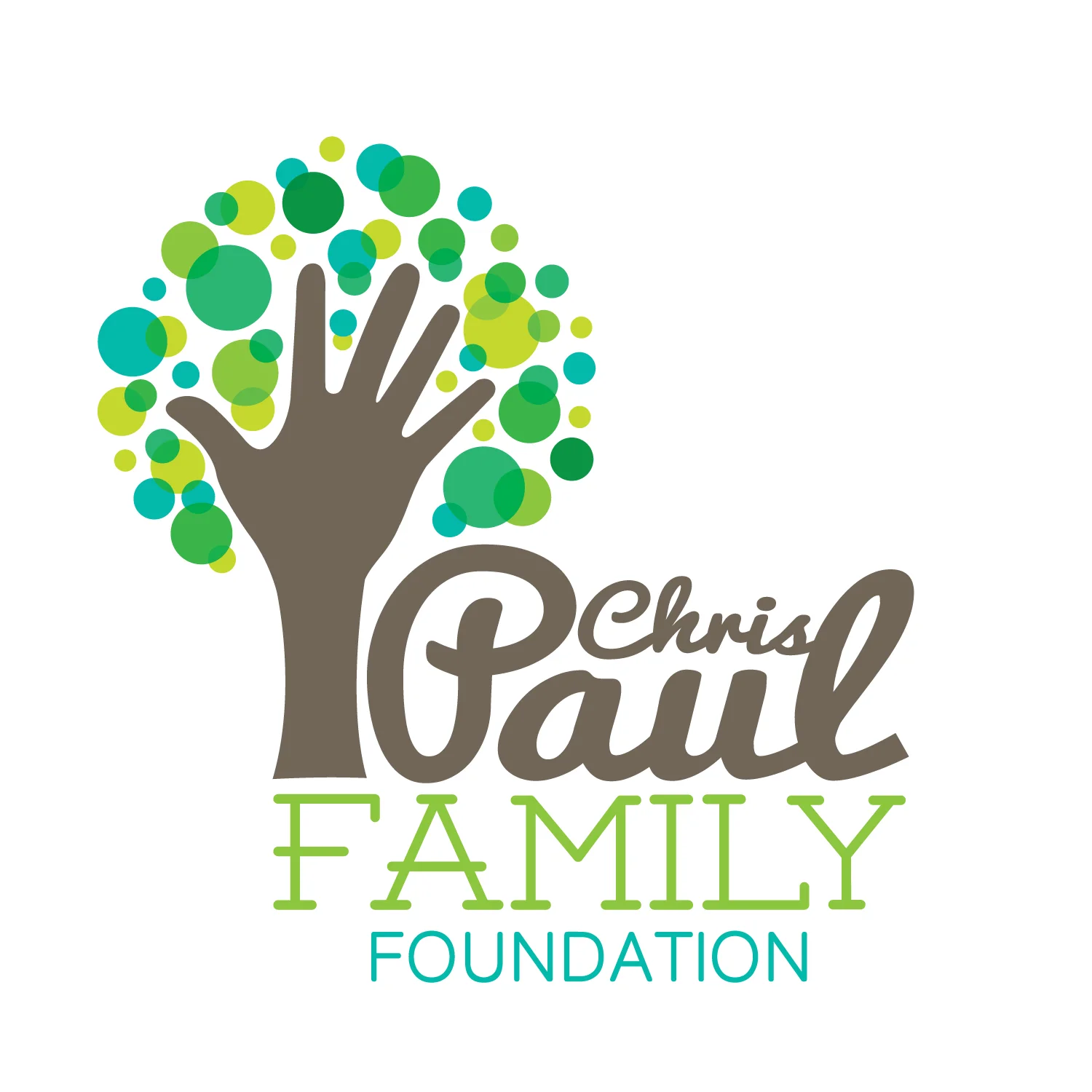 PaulFamilyFoundation_LogoOL.jpg
