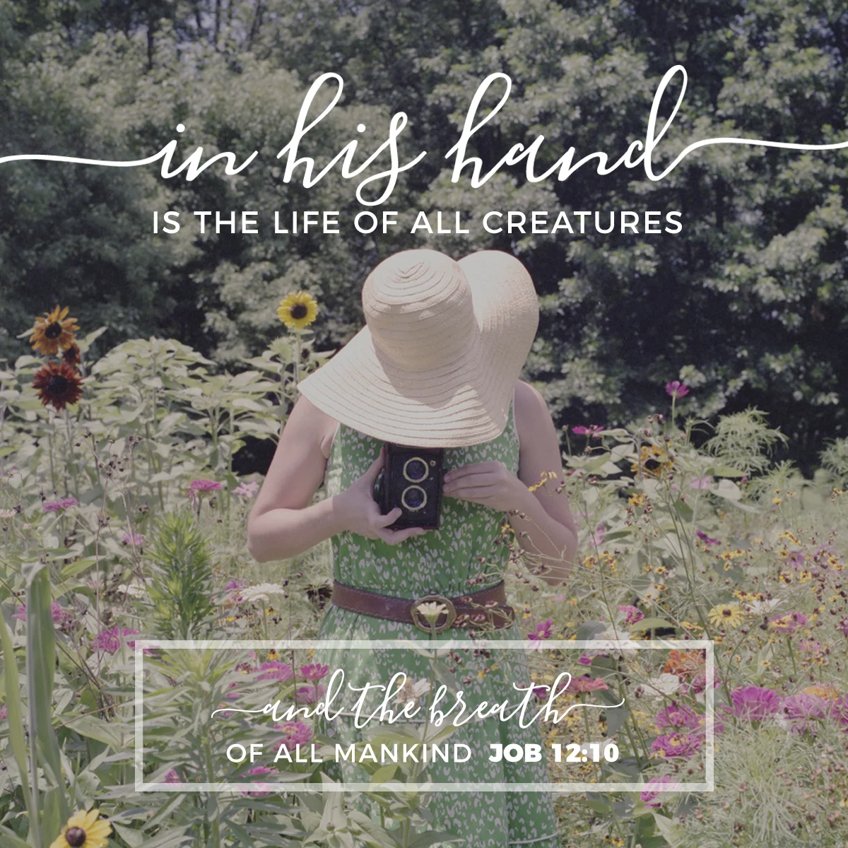 job1210 copy 3a.jpeg