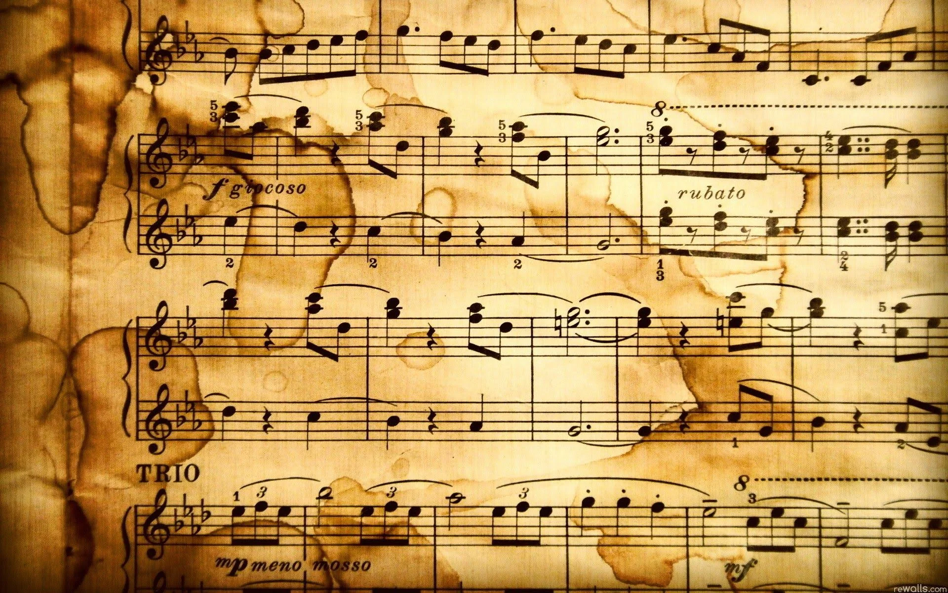 website banner.jpg