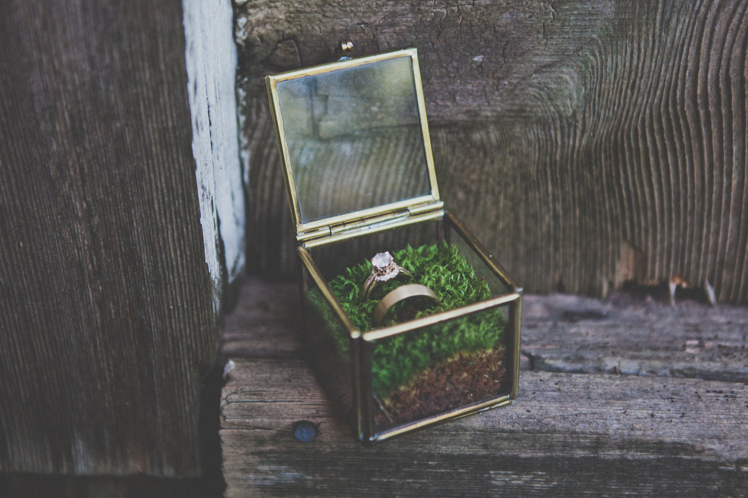 DIY moss ring box, vintage glass and brass box found on Etsy. Ring by Anna Sheffield . 
