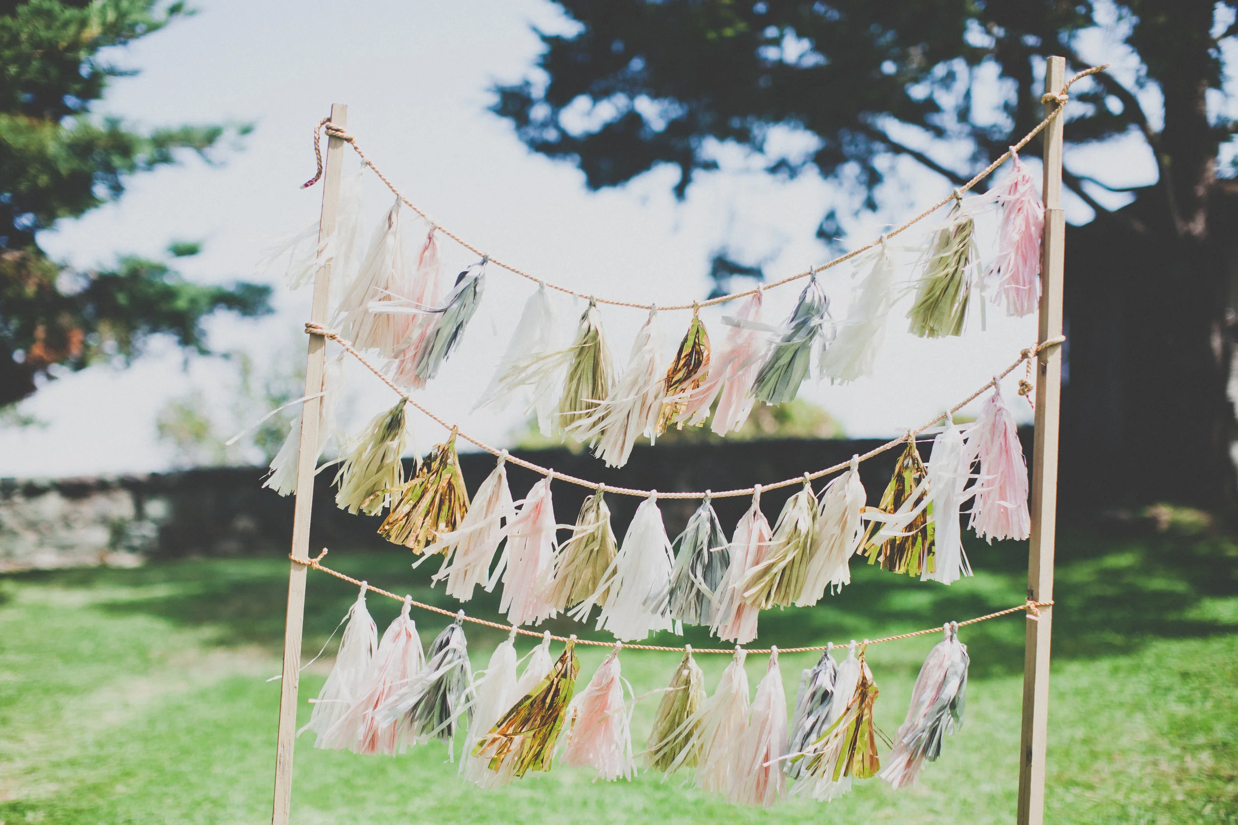 DIY tissue tassel Photo Booth backdrop