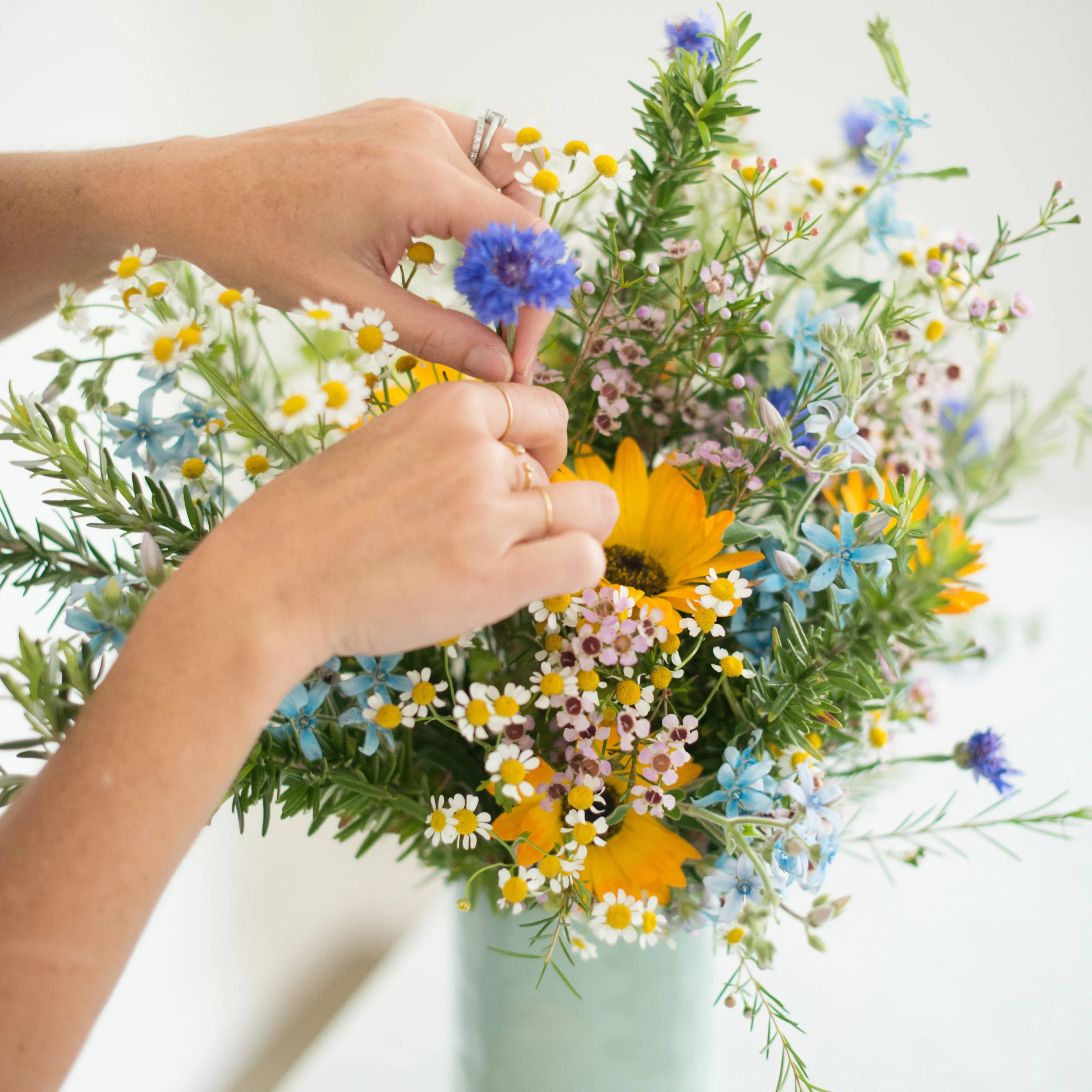 Still Haven't Done Your Shopping? Gift a Subscription | Image via Matilda's Magnolias | Design Confetti