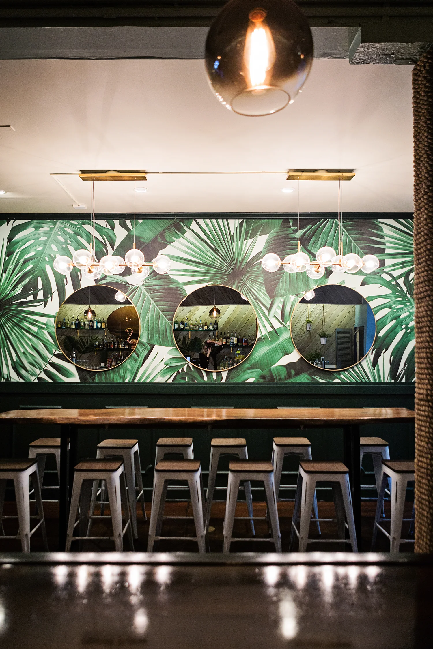 Delmar Creates a Tropical Oasis in SF