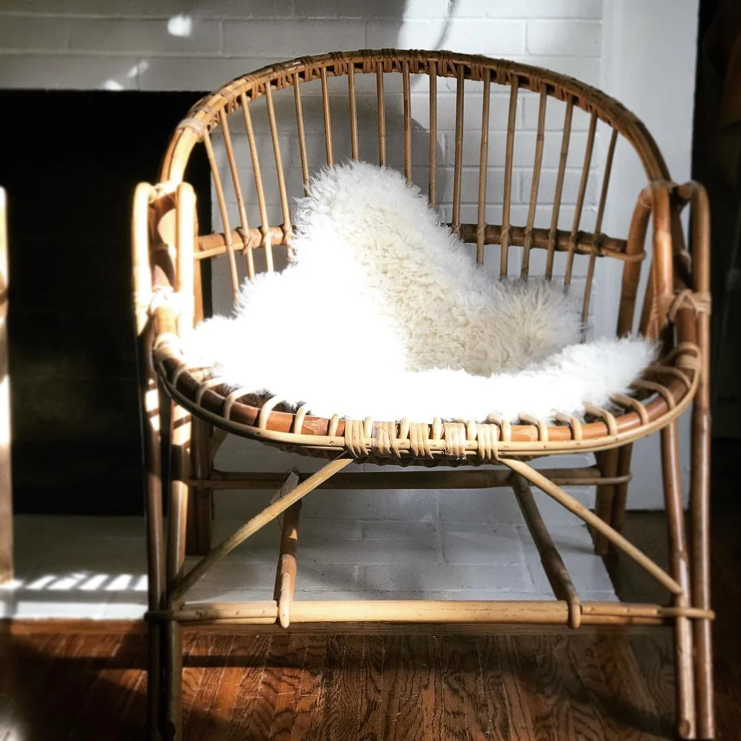 Elsie Green x Food 52 Collab 