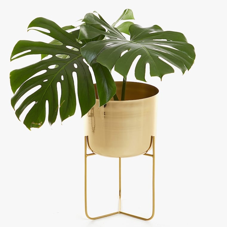 Gold Iron Planter, $119