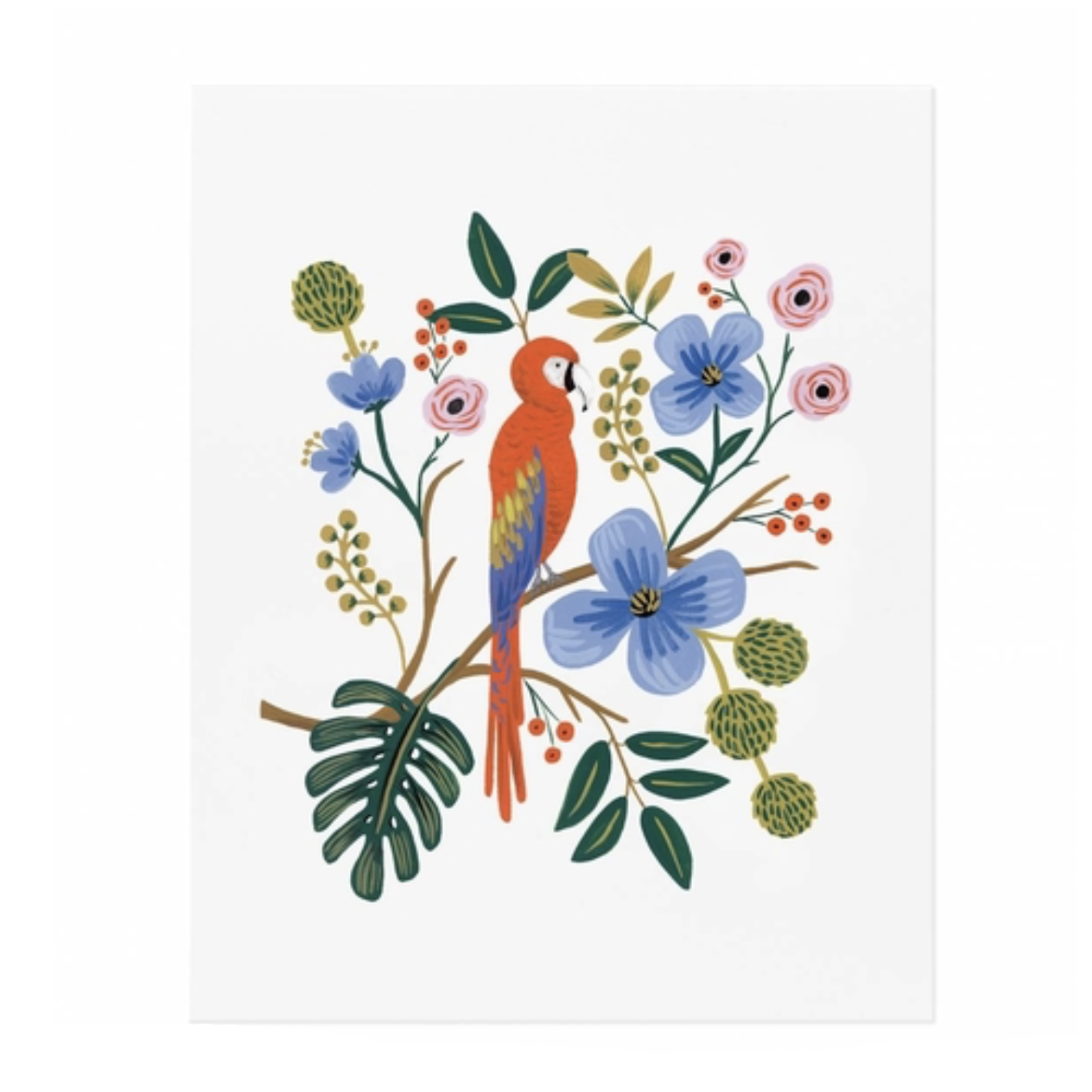 Macaw Print, $24