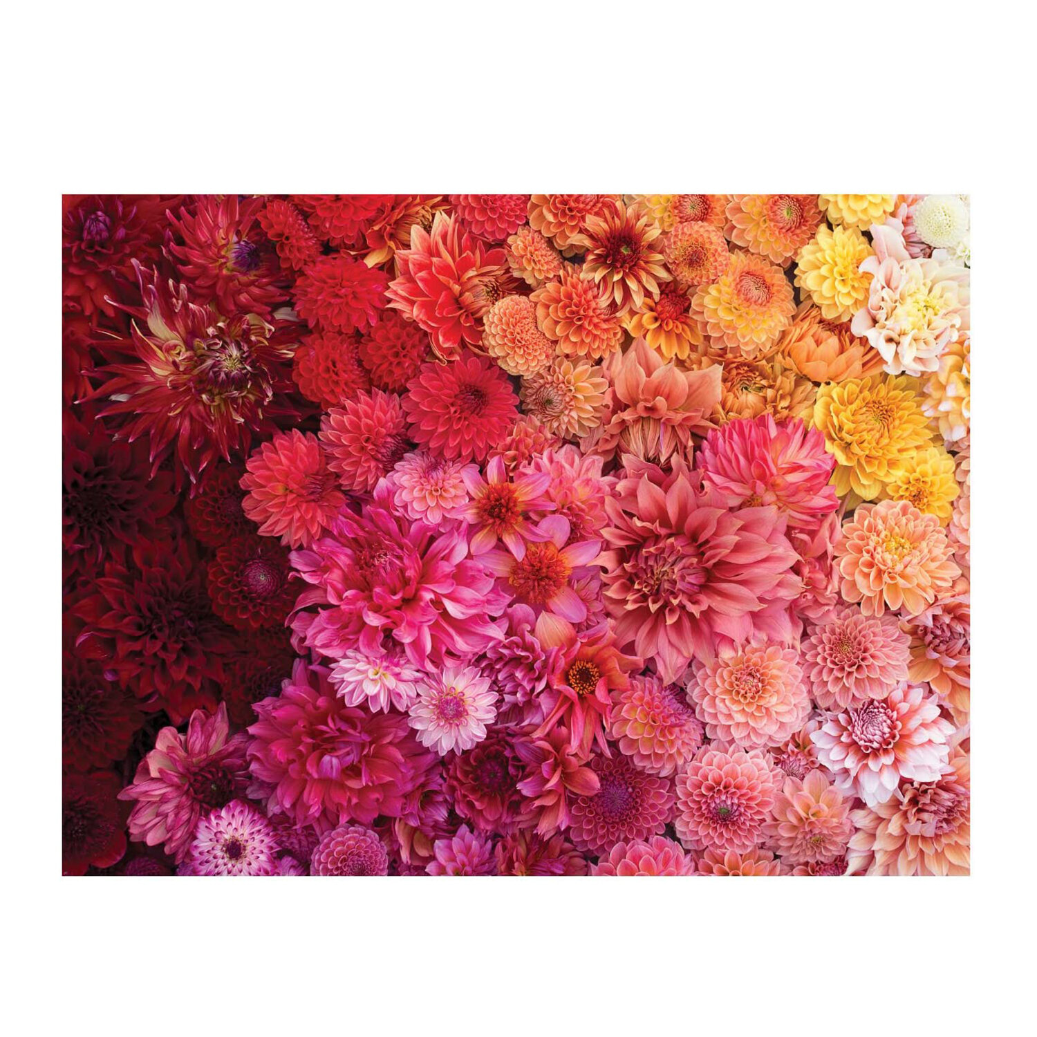 Cut Flower Garden Two-Sided Puzzle, Galison