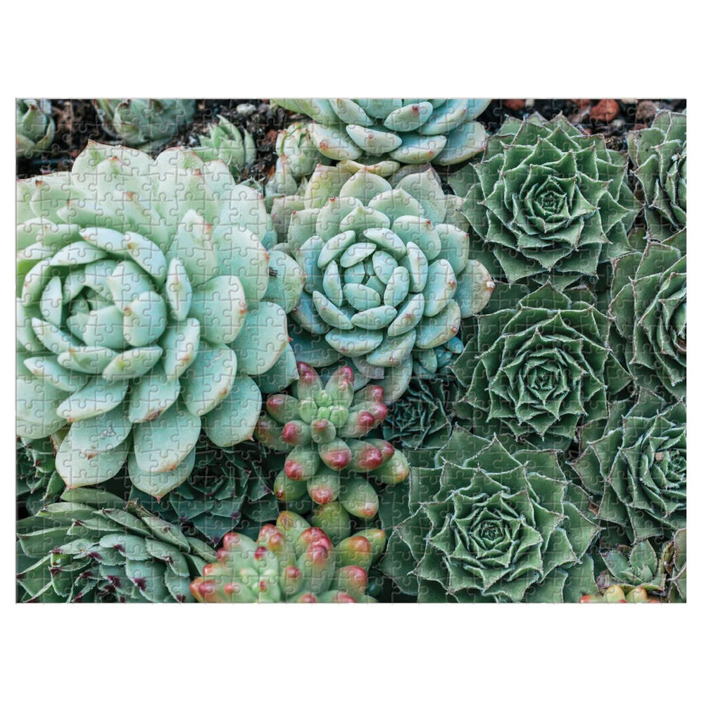 Succulent Garden Double Sided Puzzle, Galison