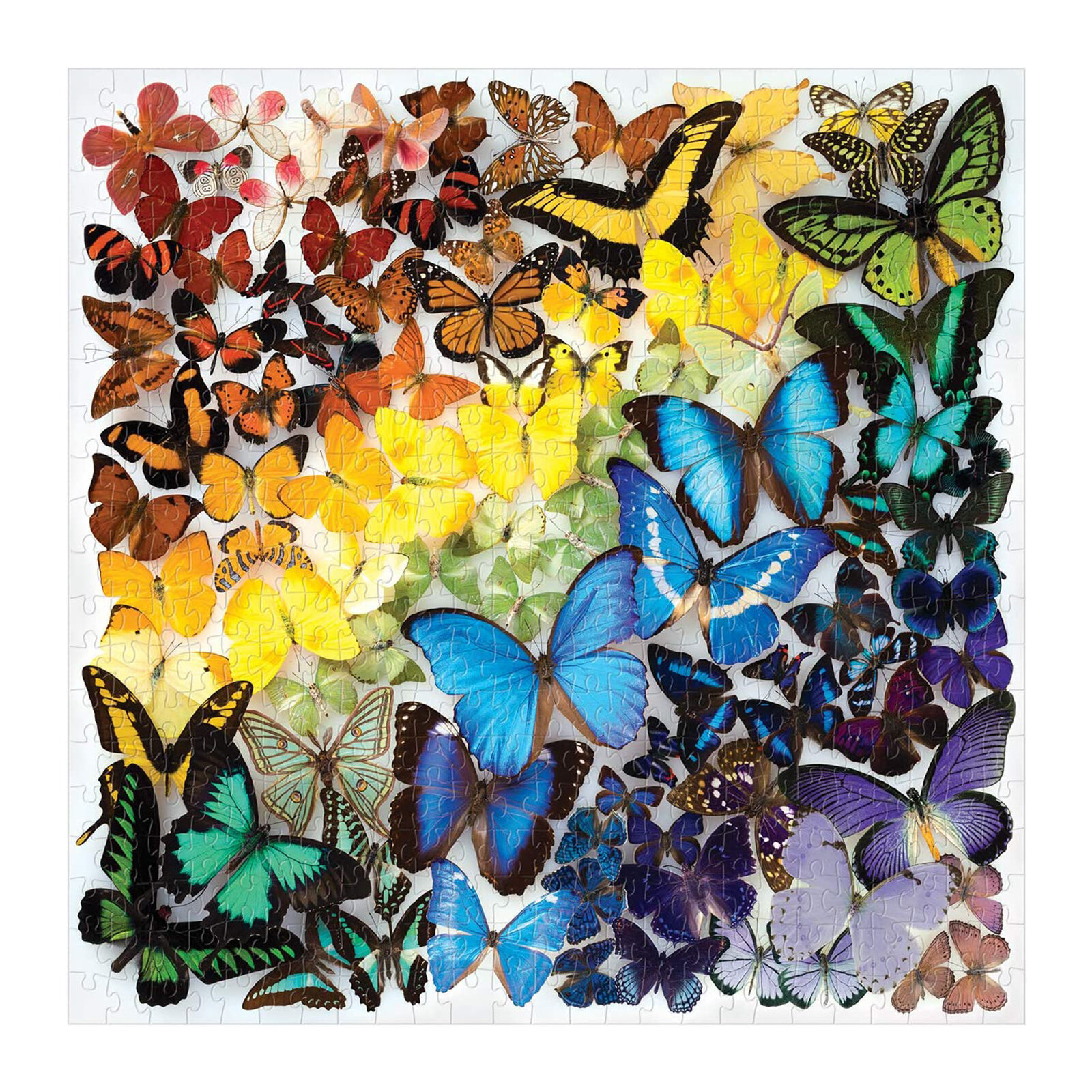 Rainbow Butterflies, Galison