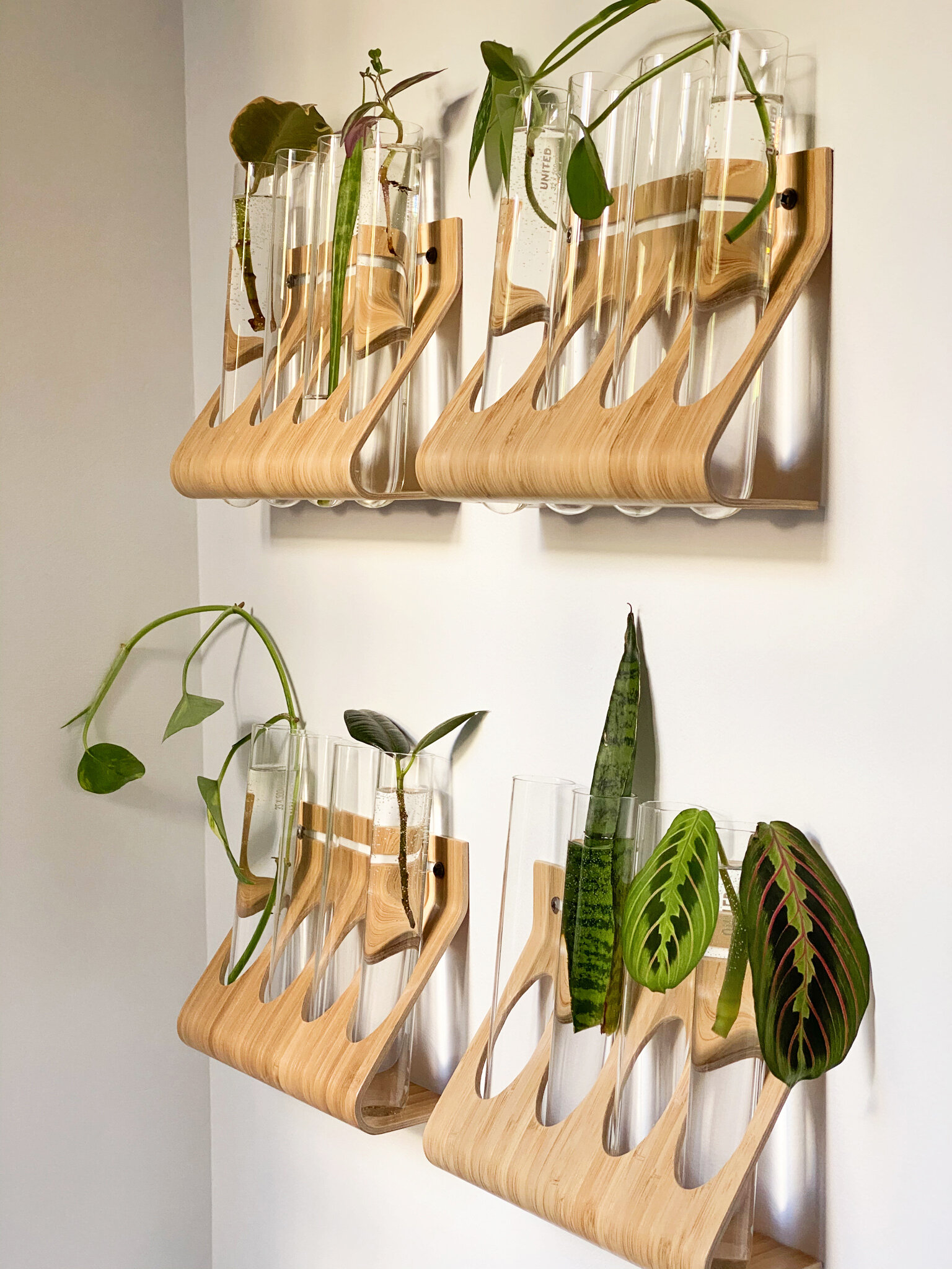  We repurposed spice racks from Ikea and test tubes from a supplier to create the cutting wall. 